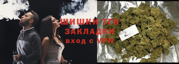 стаф Богородицк