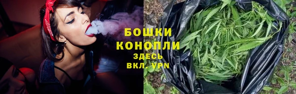 стаф Богородицк